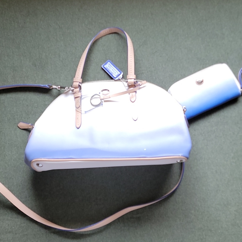 Ombre Blue and White Coach Purse and Wallet
